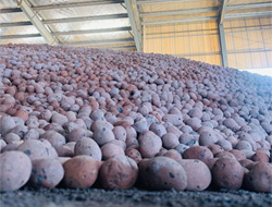 江西陶粒為什么在建筑材料中隨處可見？(圖文)